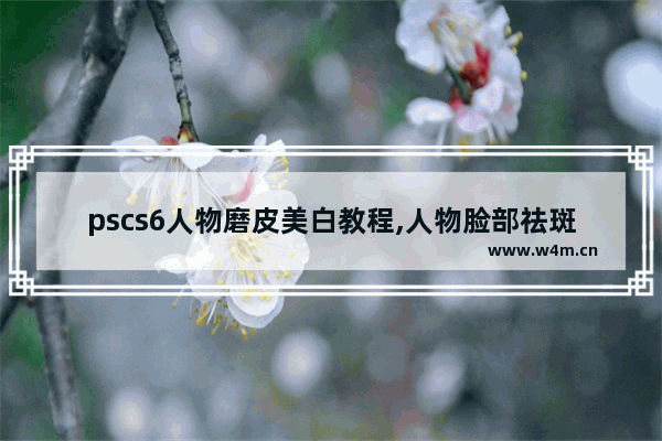 pscs6人物磨皮美白教程,人物脸部祛斑磨皮的ps处理步骤总结实训报告