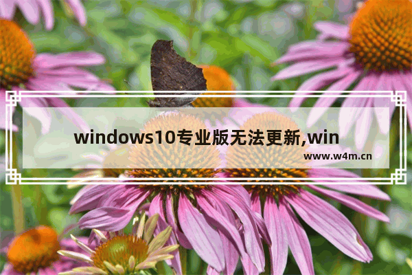 windows10专业版无法更新,win10不是最新版本为什么检测不出来更新