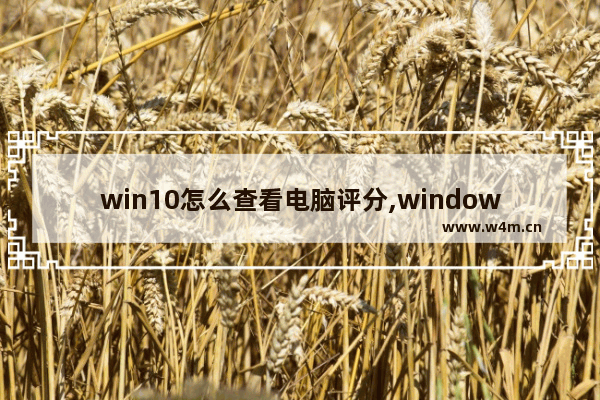 win10怎么查看电脑评分,windows10体验指数如何查看