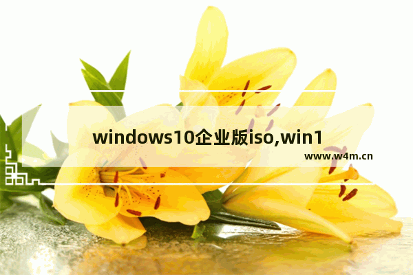 windows10企业版iso,win10企业版纯净版iso