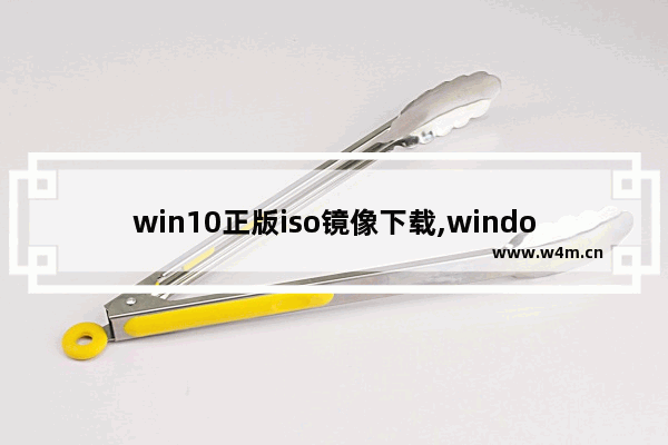 win10正版iso镜像下载,windows10专业版iso镜像下载