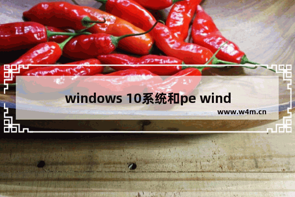 windows 10系统和pe windows是什么意思,win10 PE系统