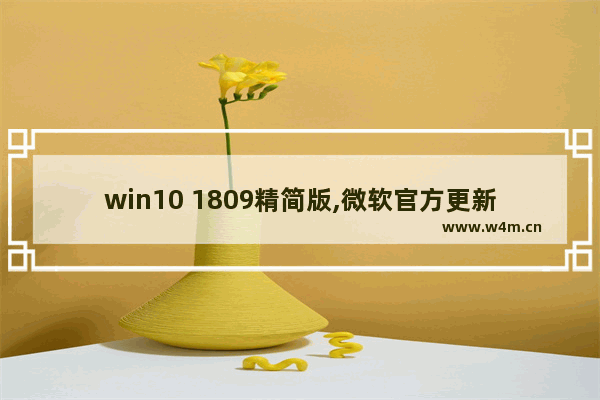 win10 1809精简版,微软官方更新win10