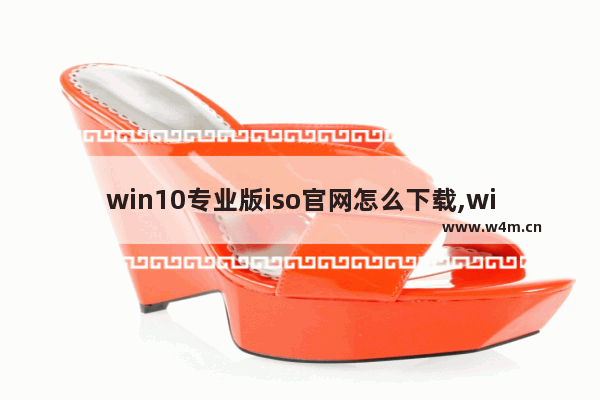 win10专业版iso官网怎么下载,win10.iso下载_1