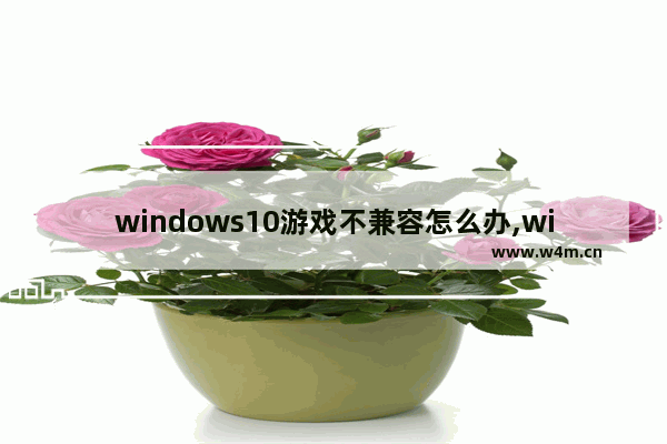 windows10游戏不兼容怎么办,win10不能兼容的游戏