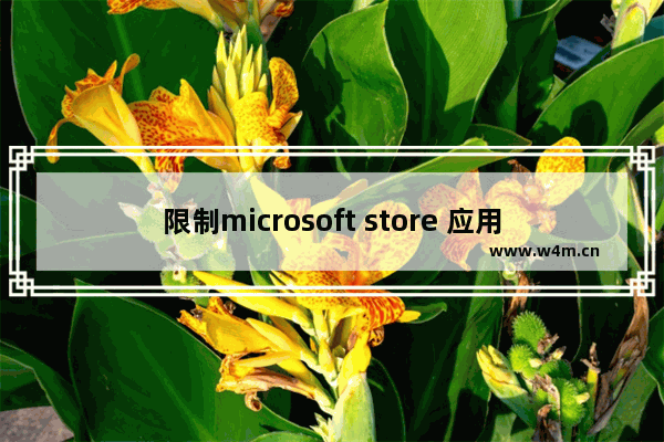 限制microsoft store 应用和windows功能,microsoft账户超过使用限制