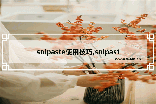 snipaste使用技巧,snipaste如何使用