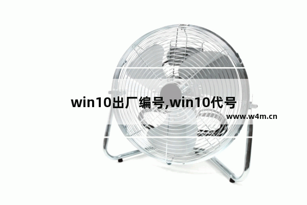 win10出厂编号,win10代号