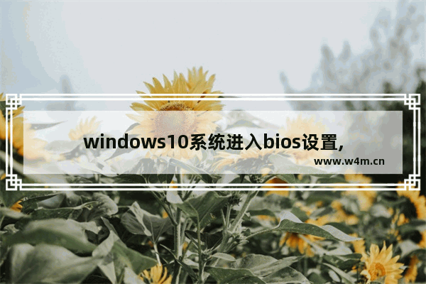 windows10系统进入bios设置,win11怎么进入bios设置界面