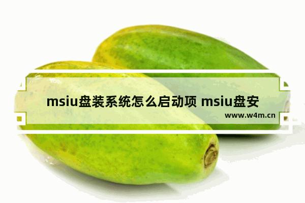 msiu盘装系统怎么启动项 msiu盘安装后如何添加启动项