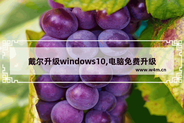 戴尔升级windows10,电脑免费升级win10