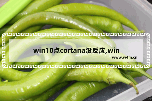 win10点cortana没反应,win10cortana没反应