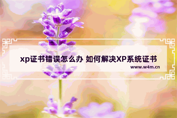 xp证书错误怎么办 如何解决XP系统证书错误？