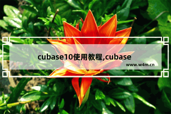 cubase10使用教程,cubase 快捷键