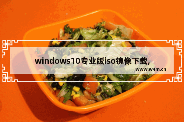 windows10专业版iso镜像下载,win10正版iso镜像下载_2