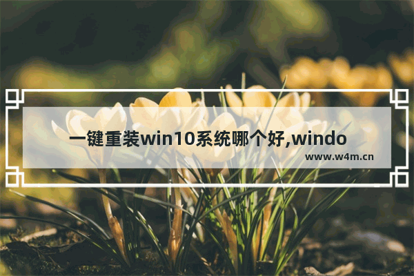 一键重装win10系统哪个好,windows10一键重装系统