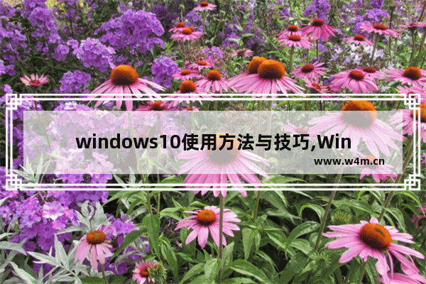 windows10使用方法与技巧,Windows10操作技巧