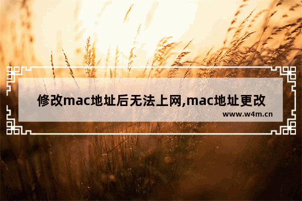 修改mac地址后无法上网,mac地址更改后无法上网