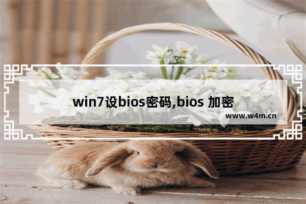 win7设bios密码,bios 加密