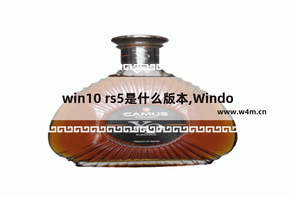 win10 rs5是什么版本,Windows 10 RS3