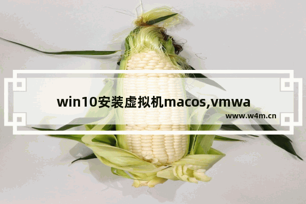 win10安装虚拟机macos,vmware如何安装苹果系统