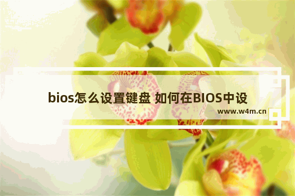 bios怎么设置键盘 如何在BIOS中设置键盘？