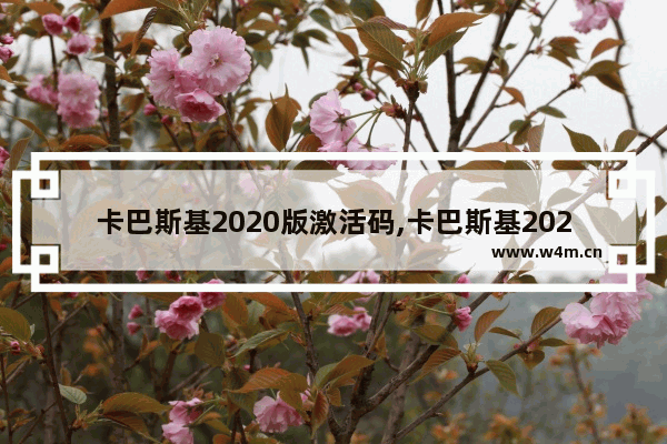 卡巴斯基2020版激活码,卡巴斯基2020免费版激活