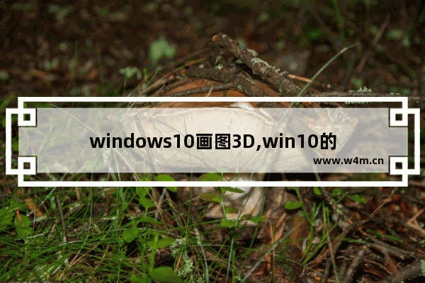 windows10画图3D,win10的3d画图教程