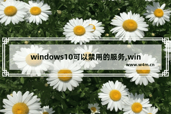 windows10可以禁用的服务,windows系统服务能禁止吗