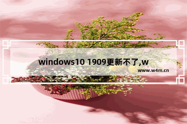 windows10 1909更新不了,win101903怎么更新到1909