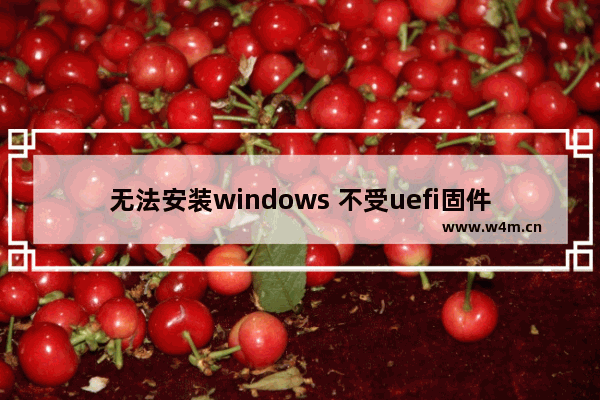 无法安装windows 不受uefi固件支持,无法安装windows10 磁盘不受uefi固件支持