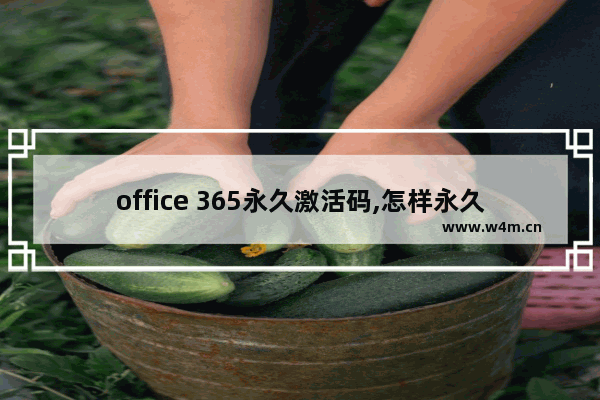 office 365永久激活码,怎样永久激活office365