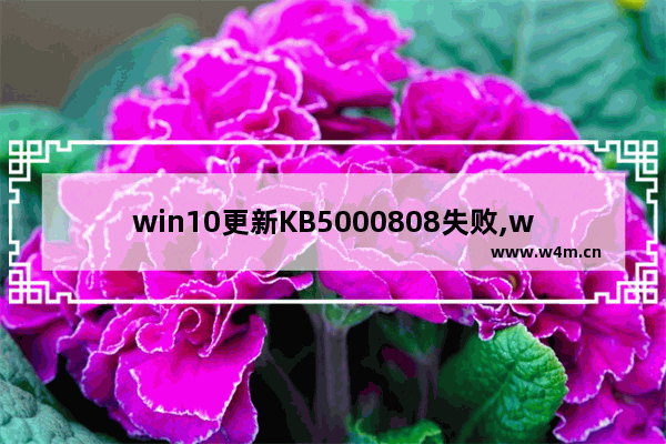 win10更新KB5000808失败,win10更新kb5004331蓝屏