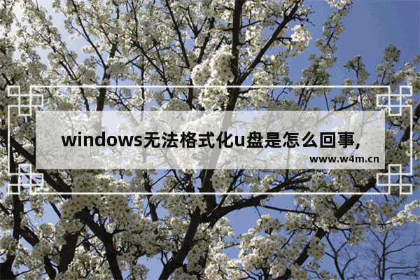 windows无法格式化u盘是怎么回事,u盘无法格式化windows无法格式化