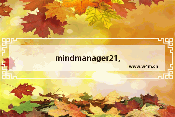 mindmanager21,