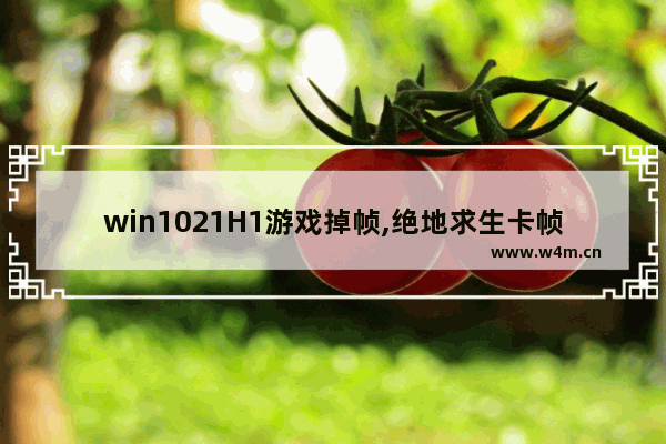 win1021H1游戏掉帧,绝地求生卡帧win10优化