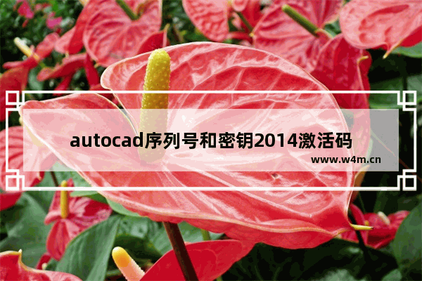 autocad序列号和密钥2014激活码,autocad2013序列号和密钥激活码_1