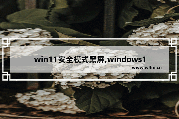 win11安全模式黑屏,windows10蓝屏怎么进入安全模式