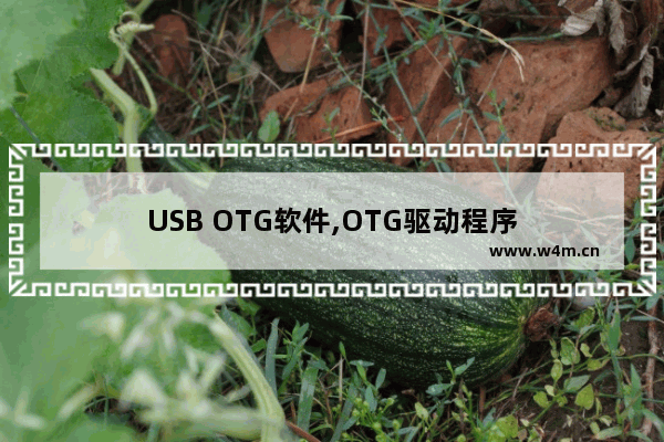 USB OTG软件,OTG驱动程序