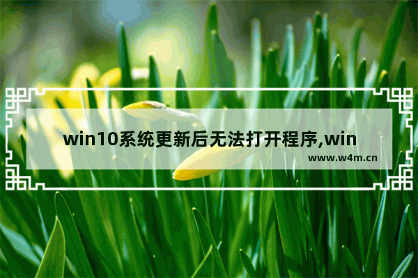 win10系统更新后无法打开程序,win10系统程序打不开的原因