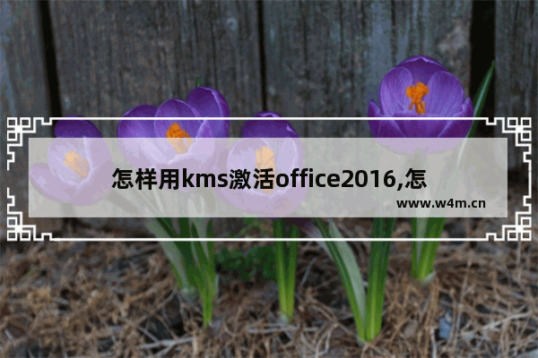 怎样用kms激活office2016,怎么用kms激活office2016