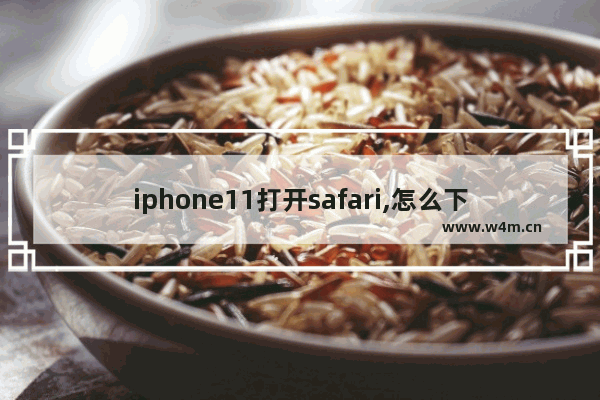 iphone11打开safari,怎么下载safari11浏览器