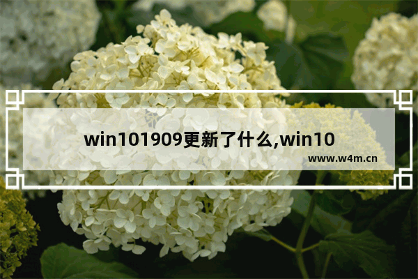 win101909更新了什么,win10怎么更新到1803