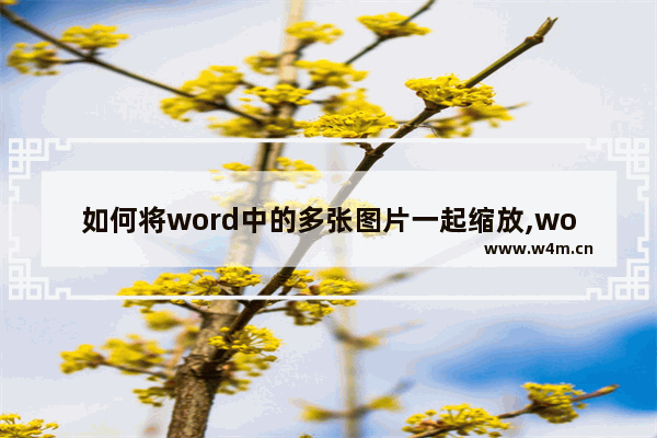 如何将word中的多张图片一起缩放,word怎么缩放到一张纸上