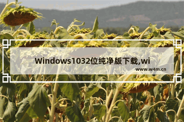 Windows1032位纯净版下载,windows10专业版32位下载