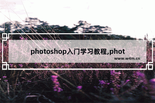 photoshop入门学习教程,photoshop简单教程