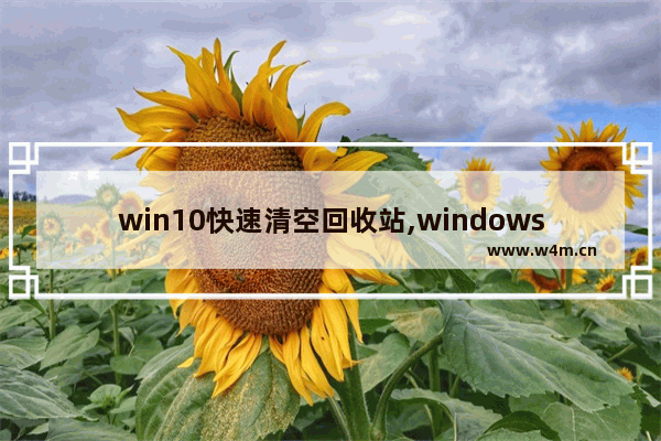 win10快速清空回收站,windows10垃圾清理工具