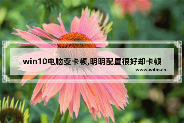 win10电脑变卡顿,明明配置很好却卡顿win10