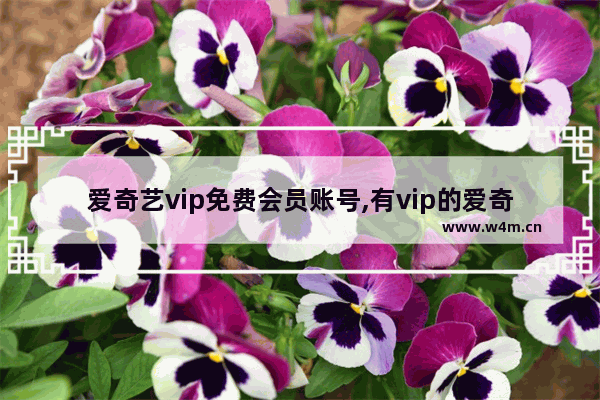 爱奇艺vip免费会员账号,有vip的爱奇艺会员帐号_3