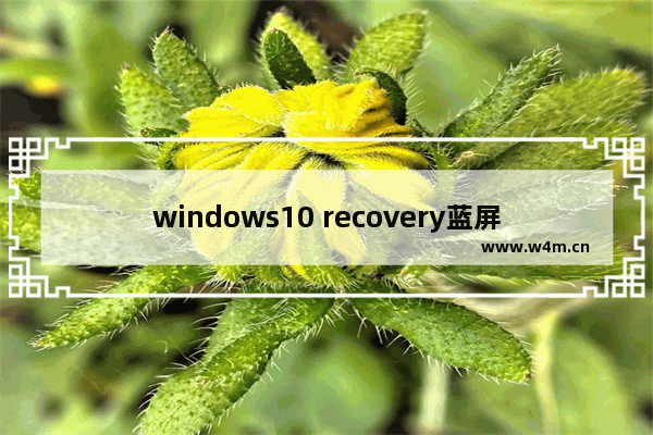 windows10 recovery蓝屏,win10recovery蓝屏解决